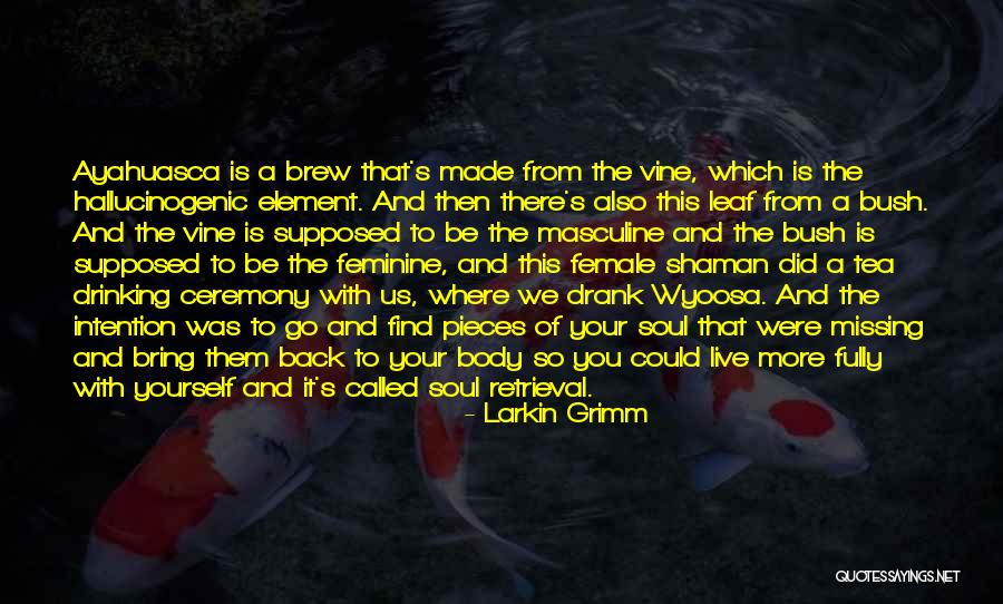 Wyoosa Quotes By Larkin Grimm Wyoosa Quotes By Larkin Grimm