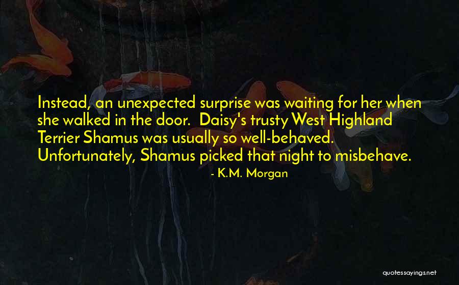 Wyrzutnia Quotes By K.M. Morgan Wyrzutnia Quotes By K.M. Morgan