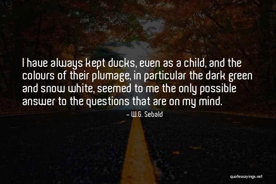 Wyss Catering Quotes By W.G. Sebald Wyss Catering Quotes By W.G. Sebald