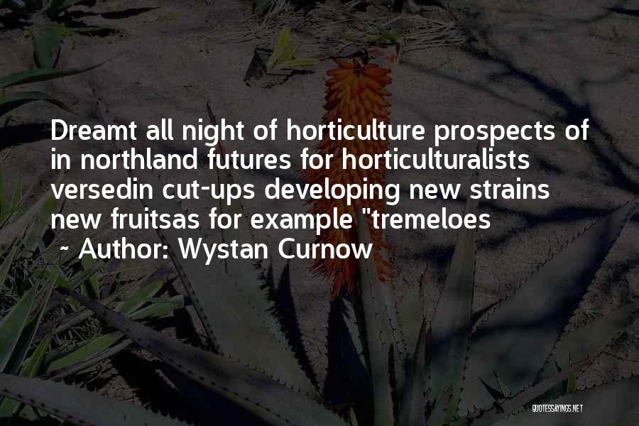 Wystan Curnow Quotes 1355928