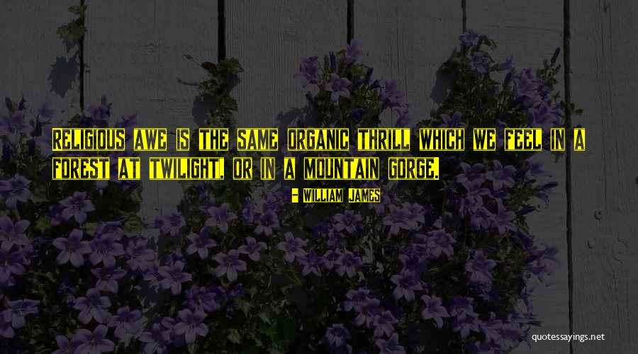 Wyvern Pronunciation Quotes By William James Wyvern Pronunciation Quotes By William James
