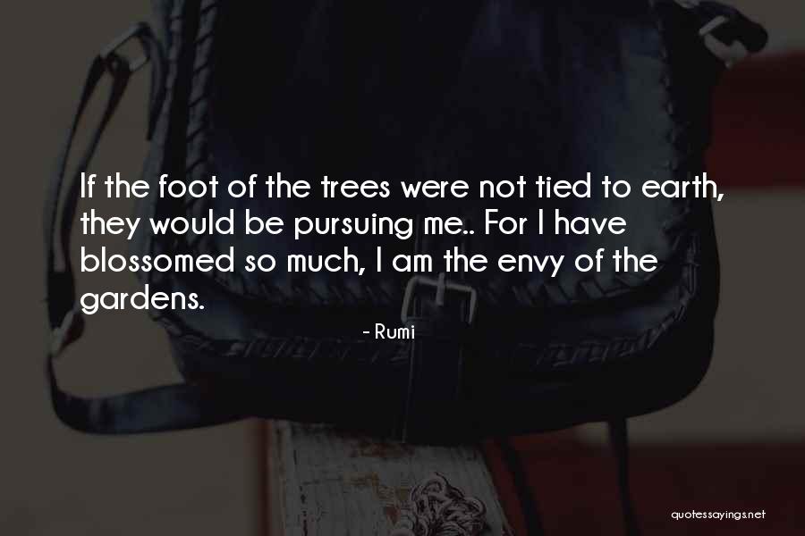 Wzrastajacy Quotes By Rumi Wzrastajacy Quotes By Rumi