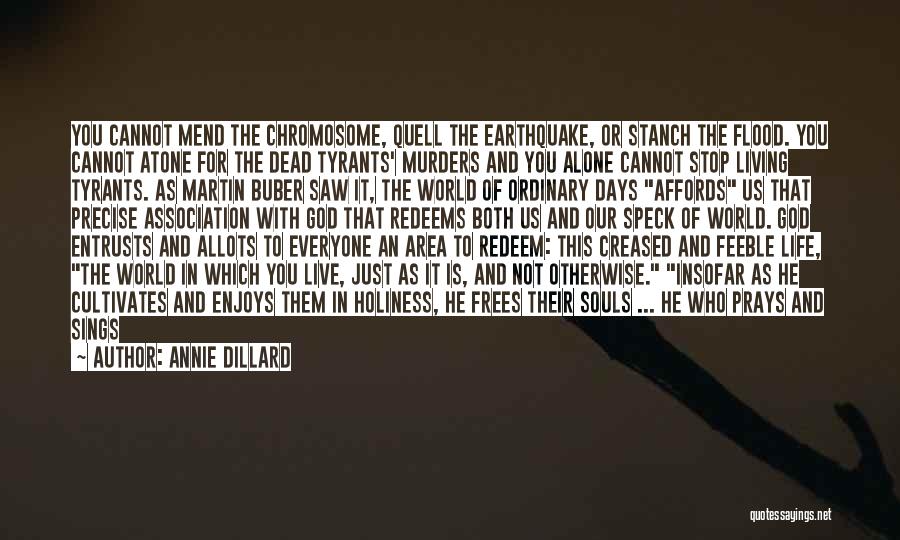 X Chromosome Quotes By Annie Dillard