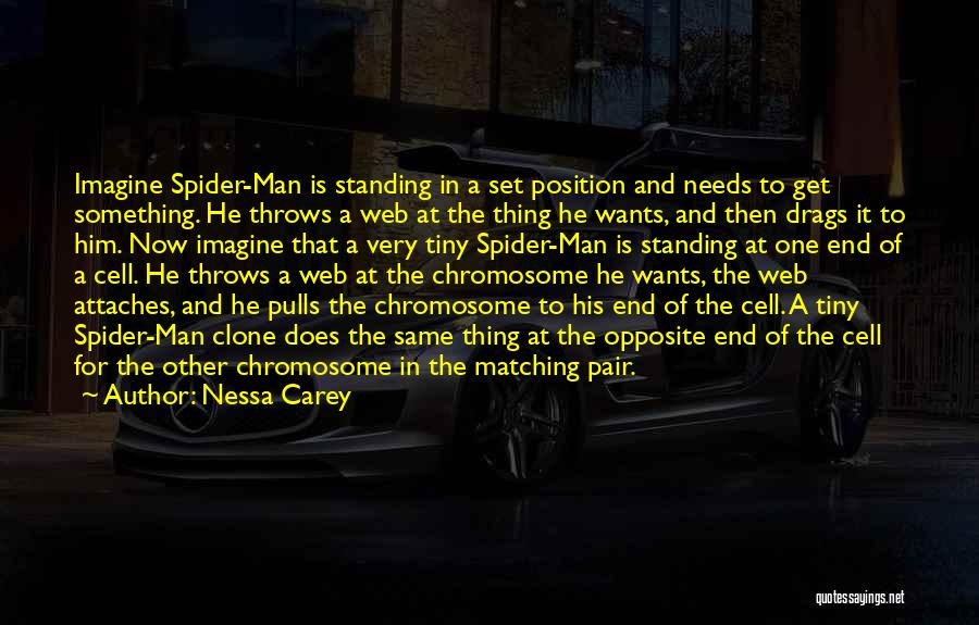 X Chromosome Quotes By Nessa Carey