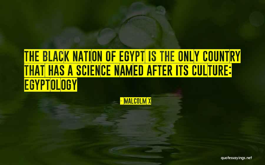 X Country Quotes By Malcolm X X Country Quotes By Malcolm X