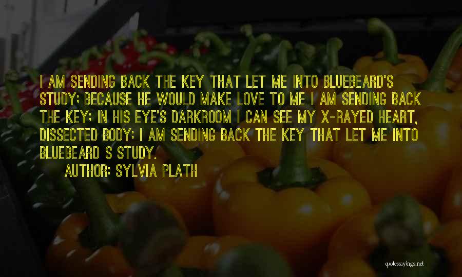X-men Love Quotes By Sylvia Plath