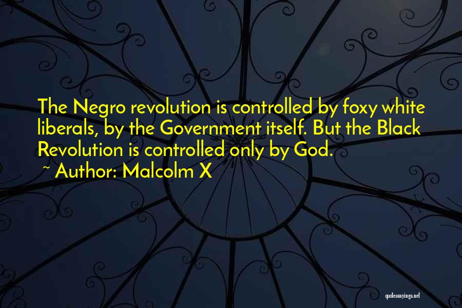 X-naut Quotes By Malcolm X