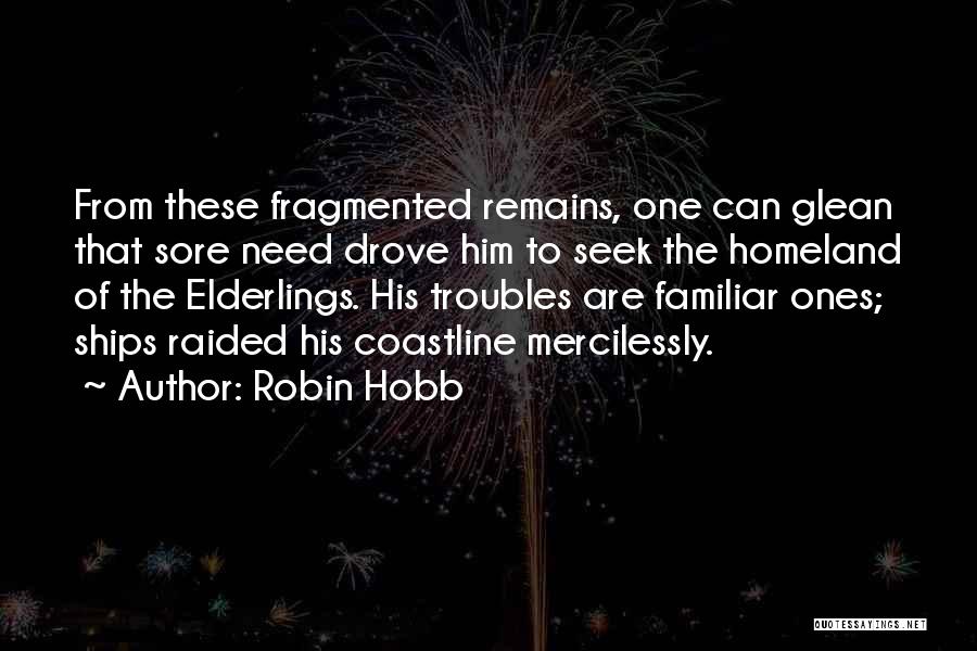 X Raided Quotes By Robin Hobb