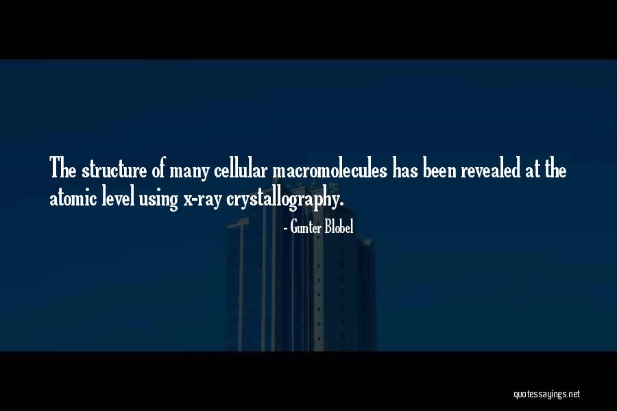X Ray Crystallography Quotes By Gunter Blobel X Ray Crystallography Quotes By Gunter Blobel