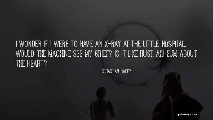 X Ray Quotes By Sebastian Barry