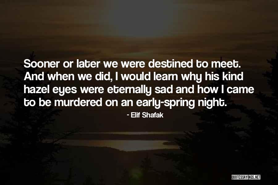 X23b Quotes By Elif Shafak X23b Quotes By Elif Shafak