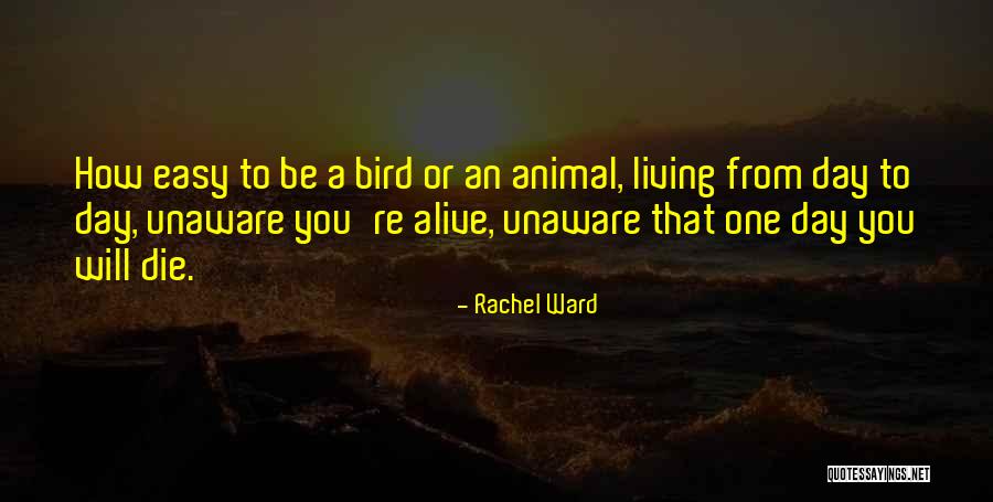 X600aj Quotes By Rachel Ward