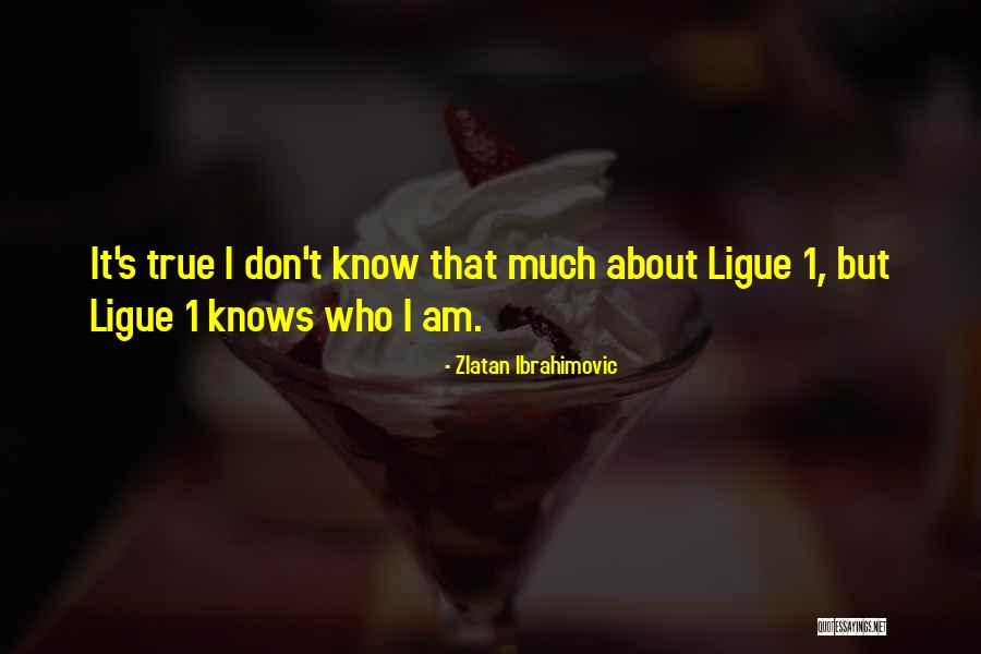 X600aj Quotes By Zlatan Ibrahimovic