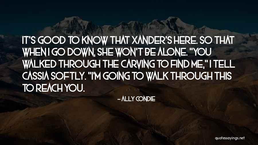 Xander Quotes By Ally Condie Xander Quotes By Ally Condie