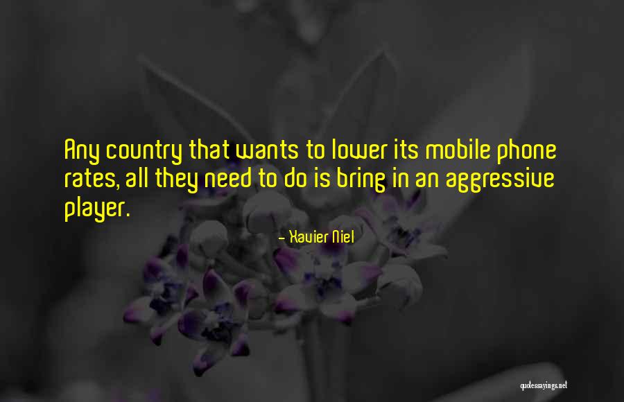 Xavier Niel Quotes 1280645 Xavier Niel Quotes 1280645