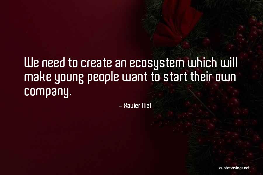 Xavier Niel Quotes 1589426