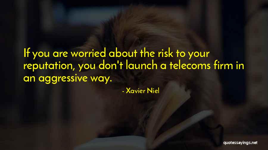 Xavier Niel Quotes 808473