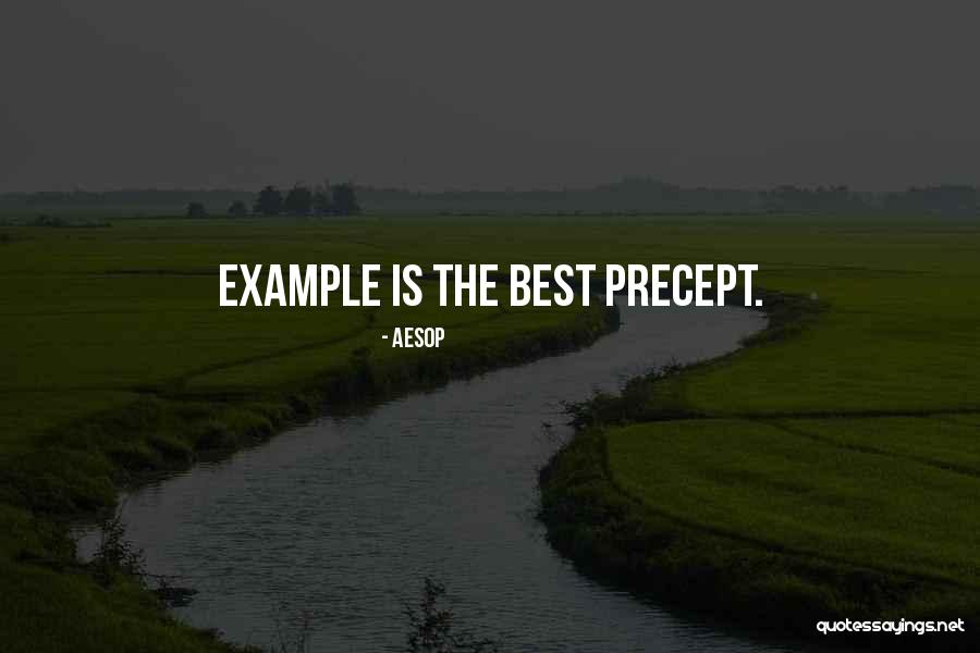 Xenophile Quotes By Aesop Xenophile Quotes By Aesop