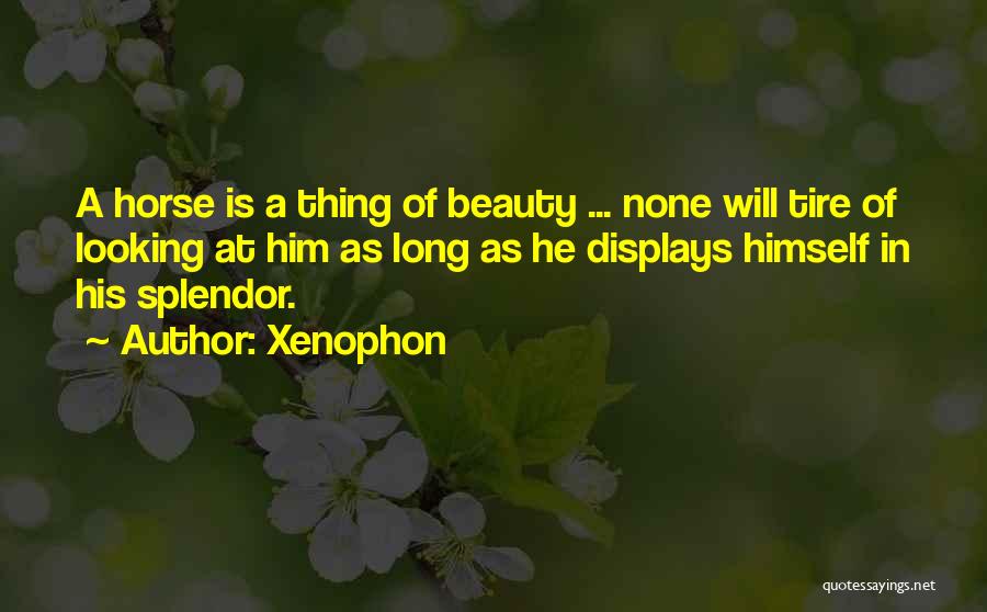 Xenophon Quotes 1980393