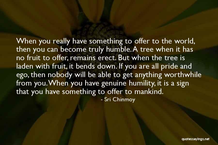 Xenophons Apology Quotes By Sri Chinmoy Xenophons Apology Quotes By Sri Chinmoy
