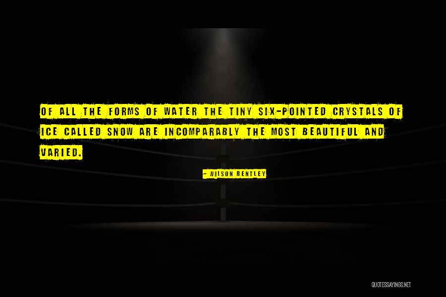 Xiaohua Li Quotes By Wilson Bentley Xiaohua Li Quotes By Wilson Bentley