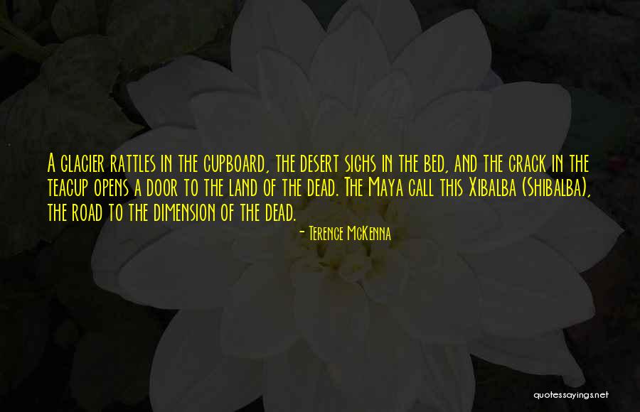 Xibalba X Quotes By Terence McKenna Xibalba X Quotes By Terence McKenna