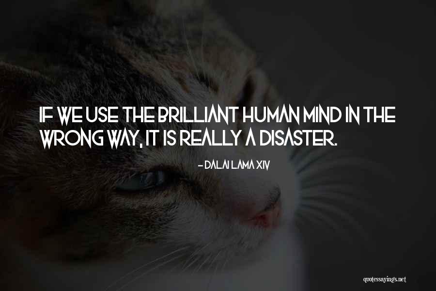 Xiv Dalai Lama Quotes By Dalai Lama XIV
