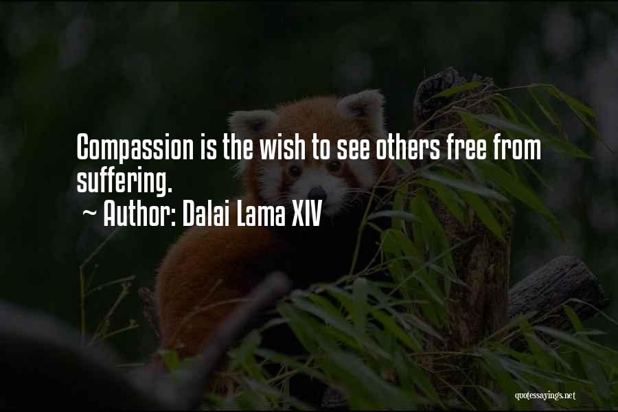 Xiv Quotes By Dalai Lama XIV