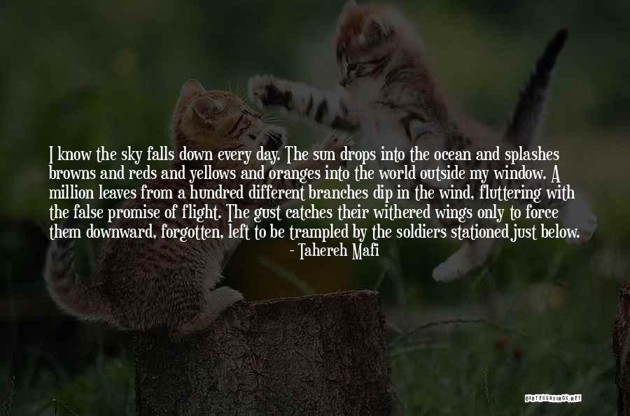 Xivu Arath Quotes By Tahereh Mafi Xivu Arath Quotes By Tahereh Mafi