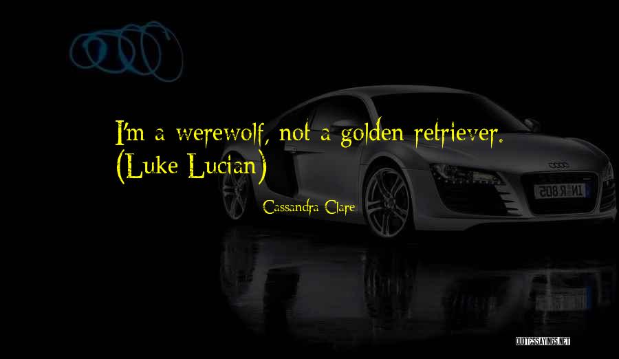 Xnnxx Quotes By Cassandra Clare Xnnxx Quotes By Cassandra Clare