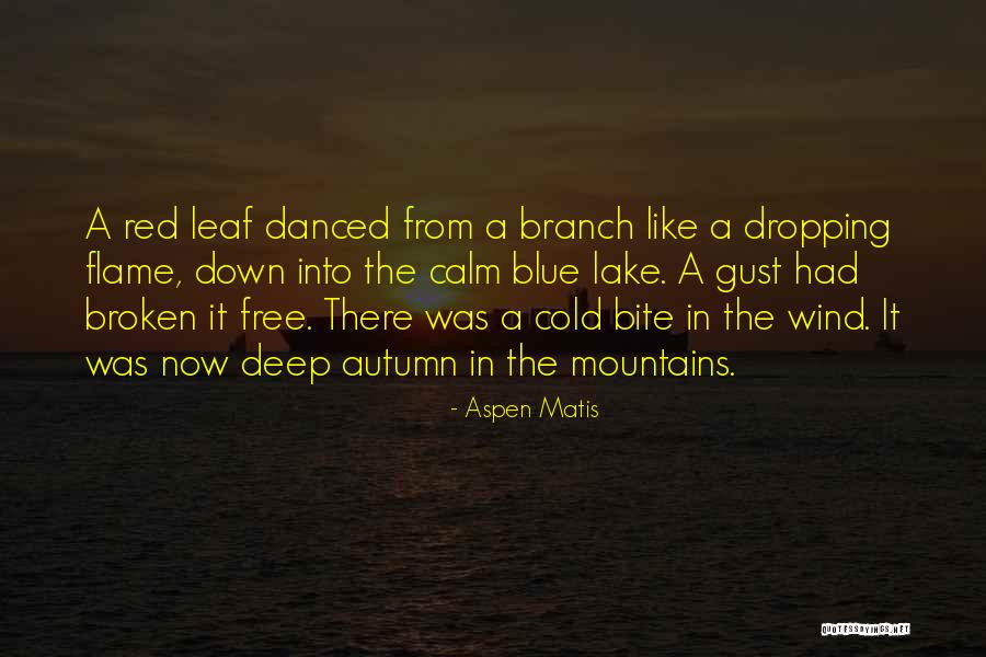 Xqcl Quotes By Aspen Matis Xqcl Quotes By Aspen Matis