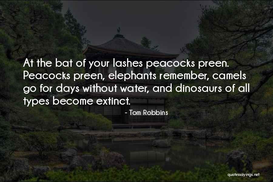 Xuan Nay Quotes By Tom Robbins Xuan Nay Quotes By Tom Robbins