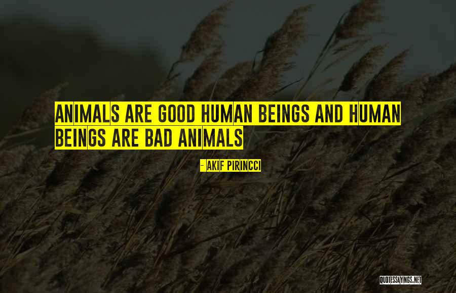 Xxvi Quotes By Akif Pirincci Xxvi Quotes By Akif Pirincci