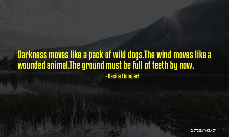 Xxxvi Quotes By Cecilia Llompart Xxxvi Quotes By Cecilia Llompart