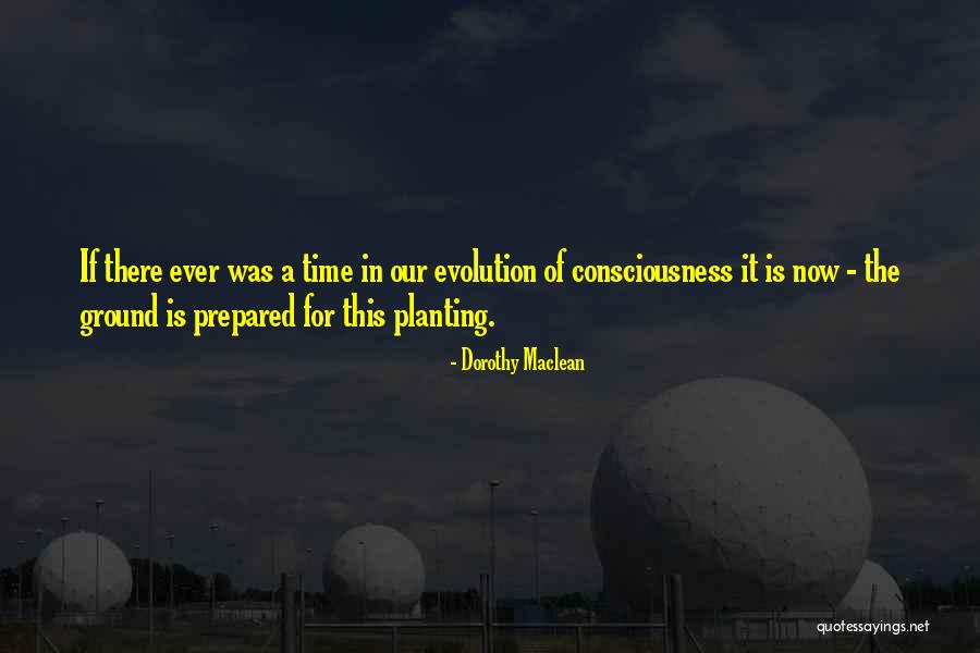 Xylouris Store Quotes By Dorothy Maclean Xylouris Store Quotes By Dorothy Maclean