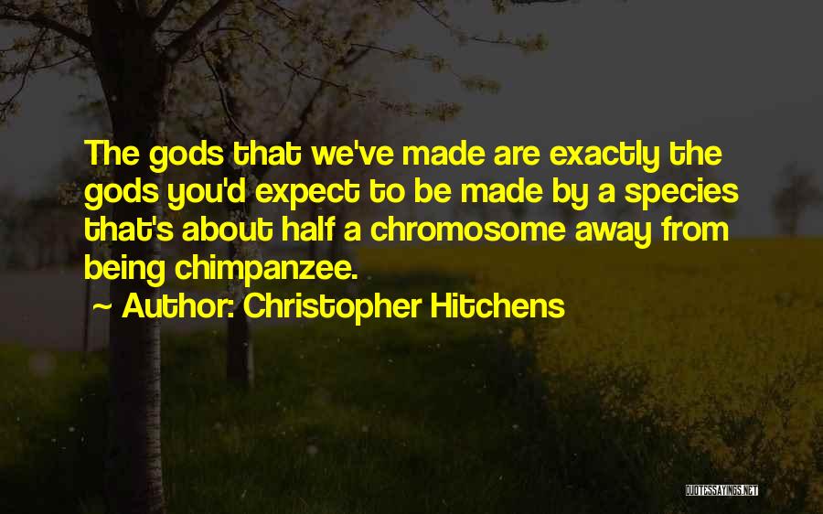 Y Chromosome Quotes By Christopher Hitchens