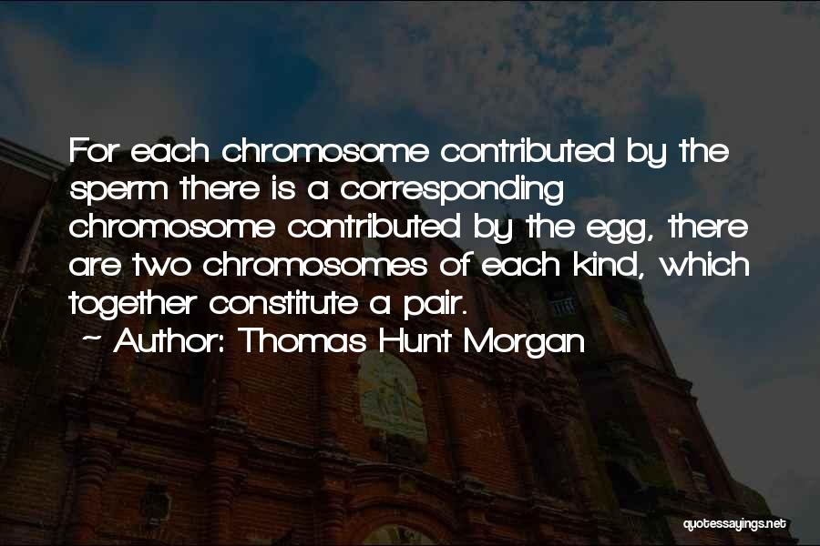 Y Chromosome Quotes By Thomas Hunt Morgan