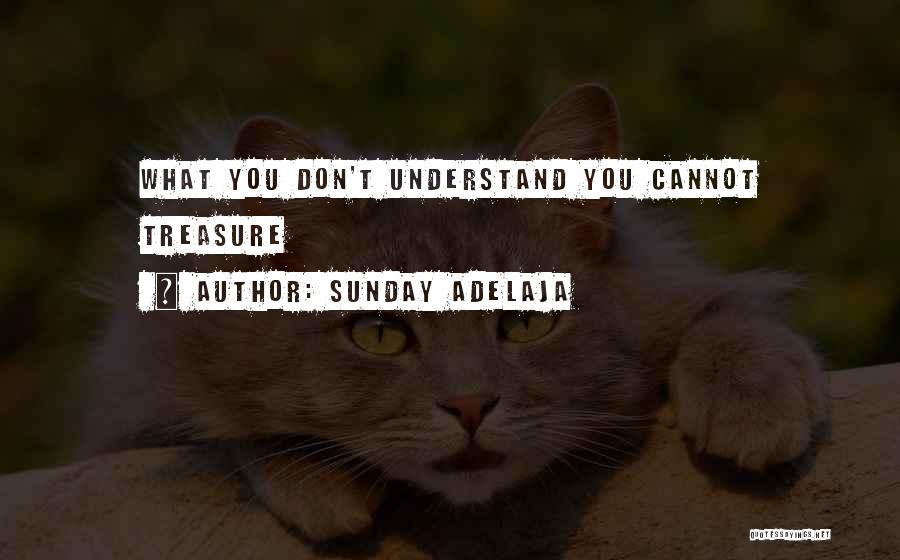 Y Dont U Understand Quotes By Sunday Adelaja