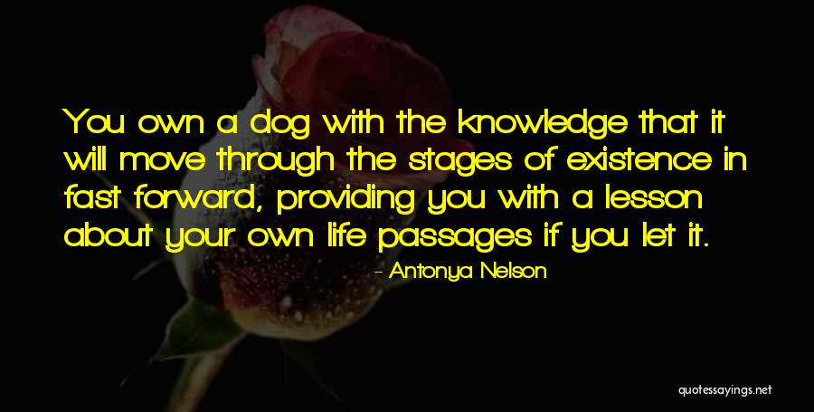 Y F X Six Sigma Quotes By Antonya Nelson
