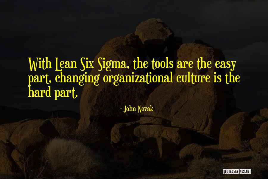 Y F X Six Sigma Quotes By John Novak