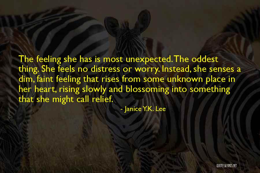 Y Might Quotes By Janice Y.K. Lee Y Might Quotes By Janice Y.K. Lee