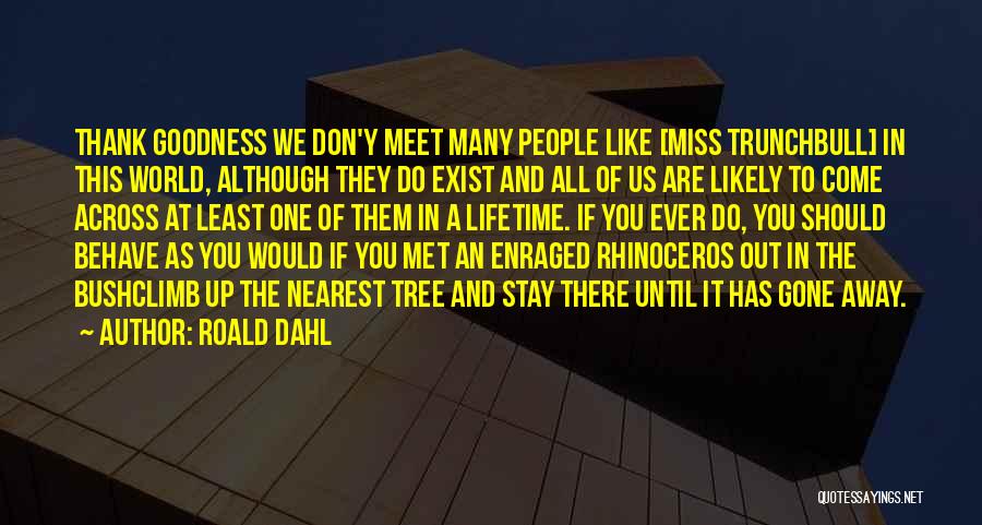 Y&r Quotes By Roald Dahl