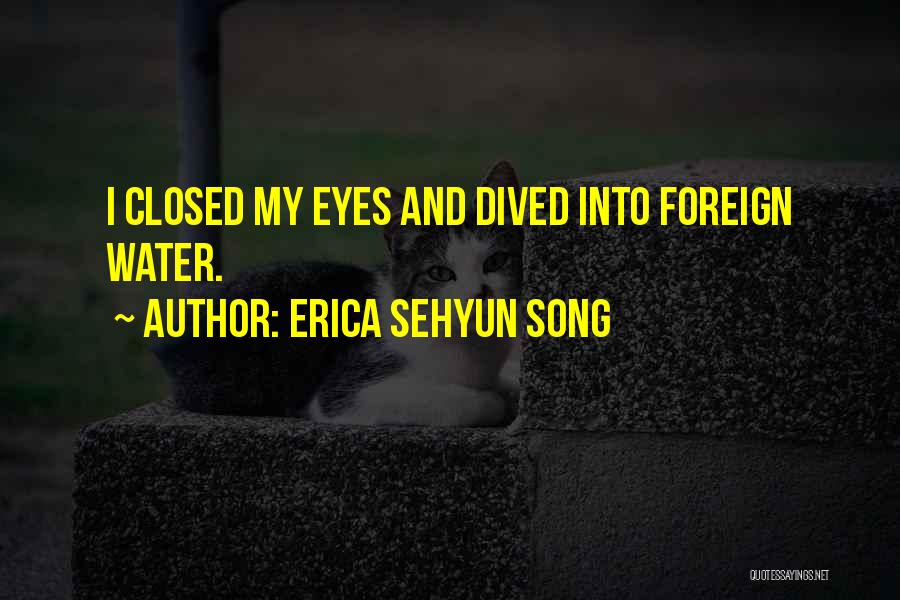 Ya Novel Quotes By Erica Sehyun Song