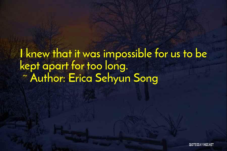 Ya Novel Quotes By Erica Sehyun Song