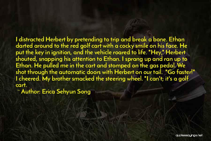 Ya Novel Quotes By Erica Sehyun Song