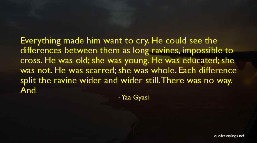 Yaa Gyasi Quotes 1750348