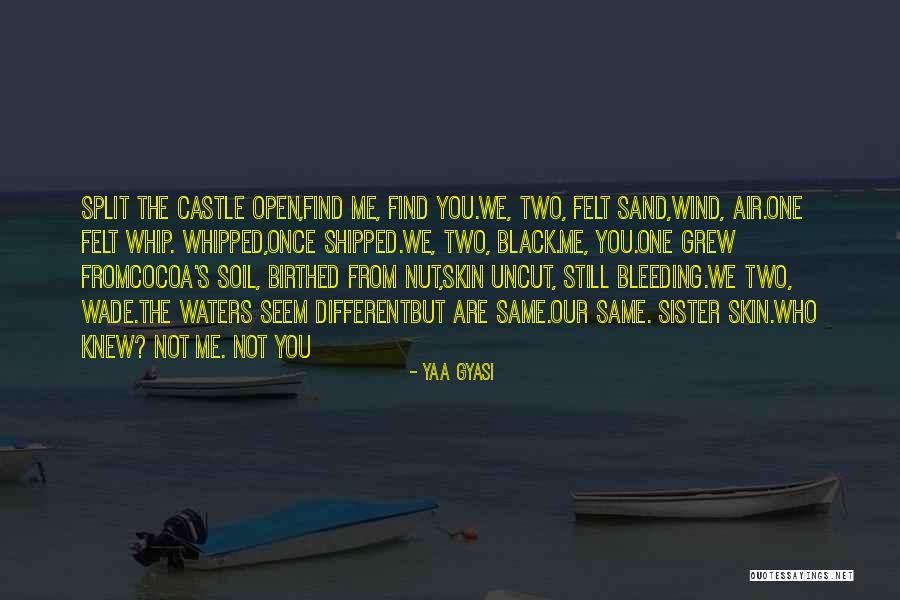 Yaa Gyasi Quotes 1787724 Yaa Gyasi Quotes 1787724