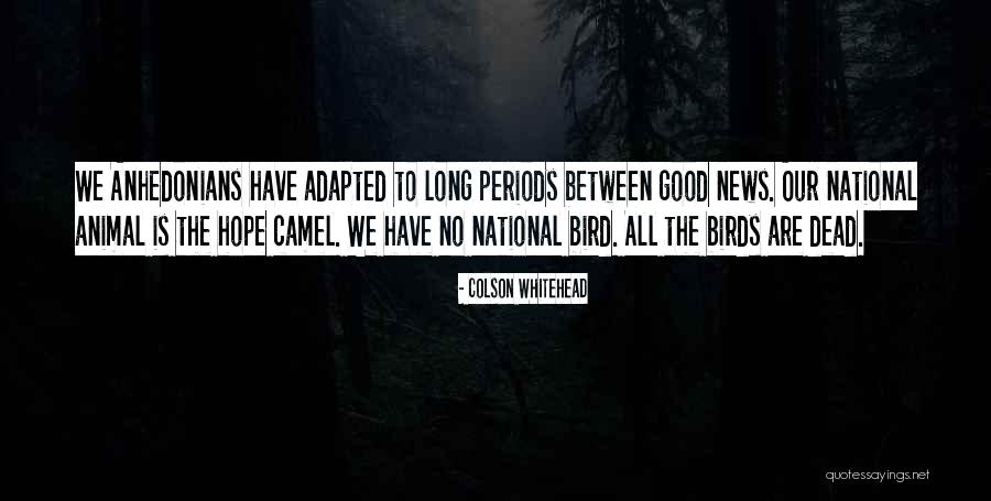 Yaad Rakhna Quotes By Colson Whitehead Yaad Rakhna Quotes By Colson Whitehead