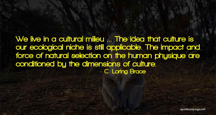 Yabanci Diziler Quotes By C. Loring Brace Yabanci Diziler Quotes By C. Loring Brace