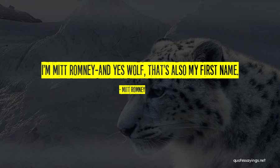 Yacktman Pediatrics Quotes By Mitt Romney Yacktman Pediatrics Quotes By Mitt Romney